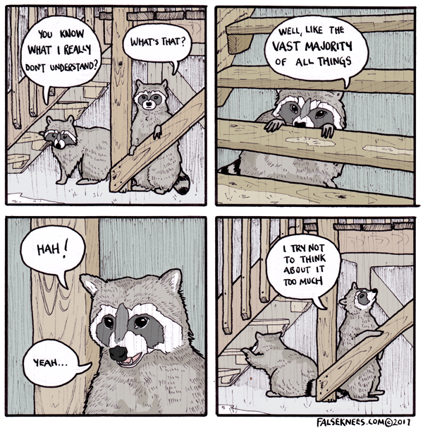 Four panel cartoon in which two raccoons discuss how little they understand about the world.